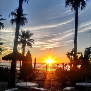 Meet your Posher, Jean